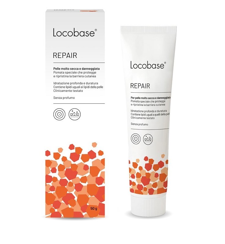 LOCOBASE REPAIR 100 G