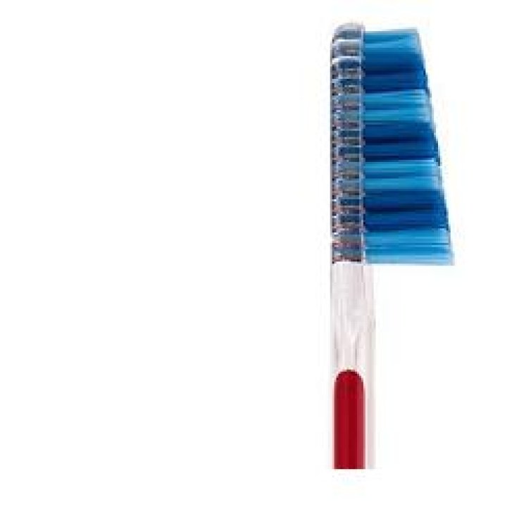 TAUMARIN SPAZZOLINO SCALARE 33 SETOLE MORBIDE TAUMARIN SPAZZOLINO SCALARE 33 SETOLE MORBIDE