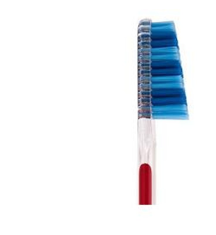 TAUMARIN SPAZZOLINO SCALARE 33 SETOLE MORBIDE