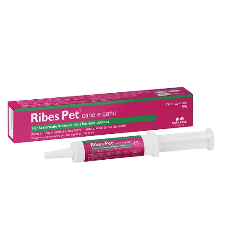 RIBES PET PASTA APPETIBILE 30 G