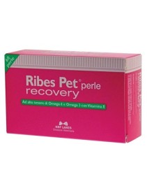 RIBES PET RECOVERY BLISTER 60 PERLE