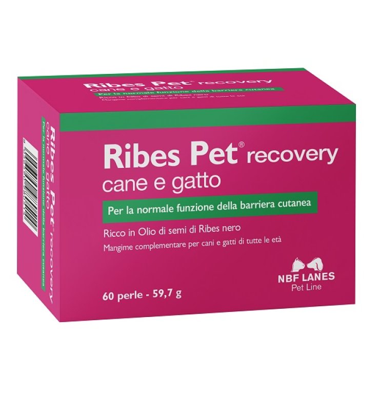 RIBES PET RECOVERY BLISTER 60 PERLE RIBES PET RECOVERY BLISTER 60 PERLE