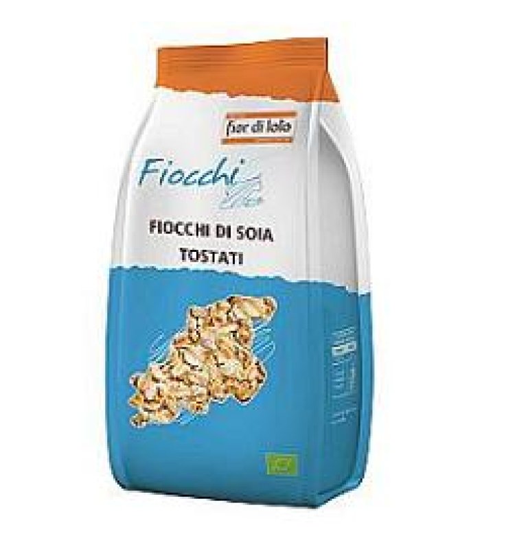 FdL Fiocchi Soja Tostati 500g