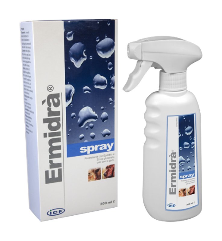 ERMIDRA' SPRAY 300 ML