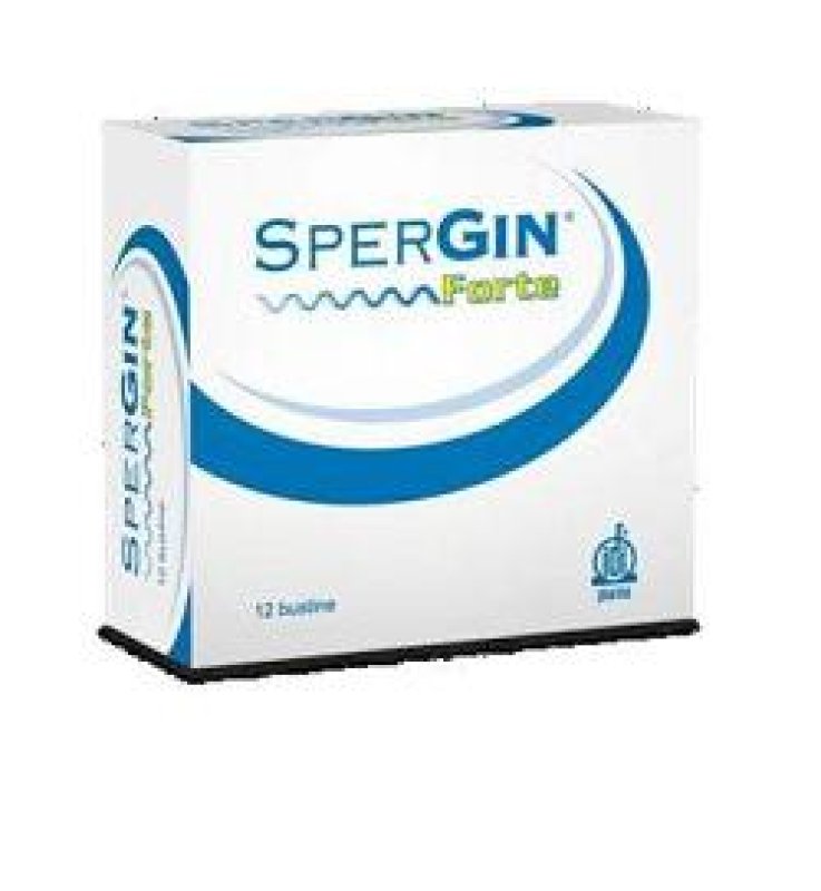 SPERGIN FORTE 12 BUSTINE SPERGIN FORTE 12 BUSTINE