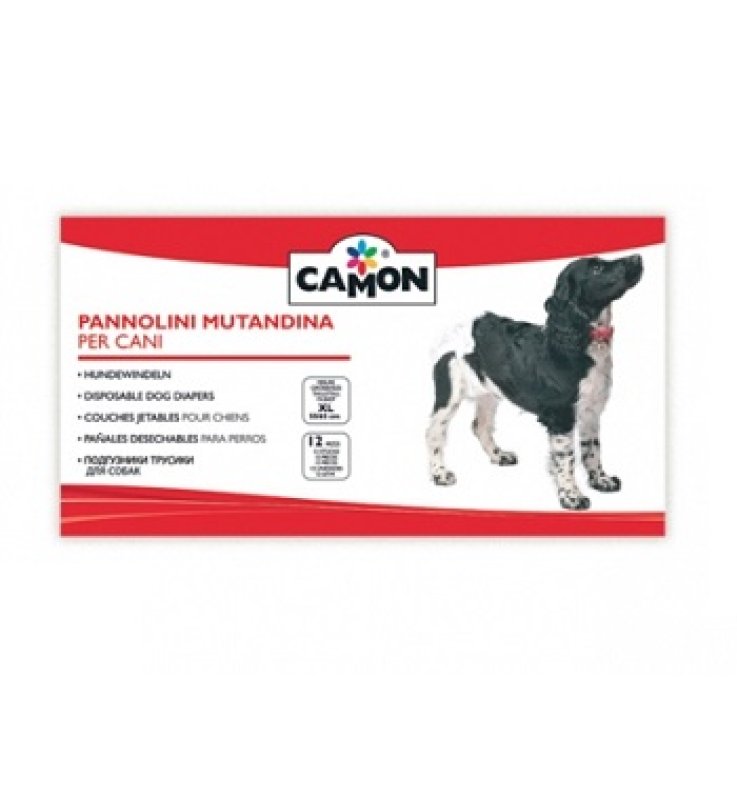 V PANN.MUT.DOG B044/2 35/45 MEDI