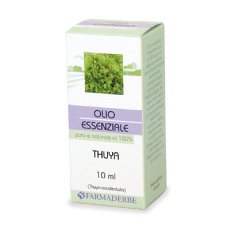 FARMADERBE OLIO ESSENZIALE THUYA 10 ML FARMADERBE OLIO ESSENZIALE THUYA 10 ML