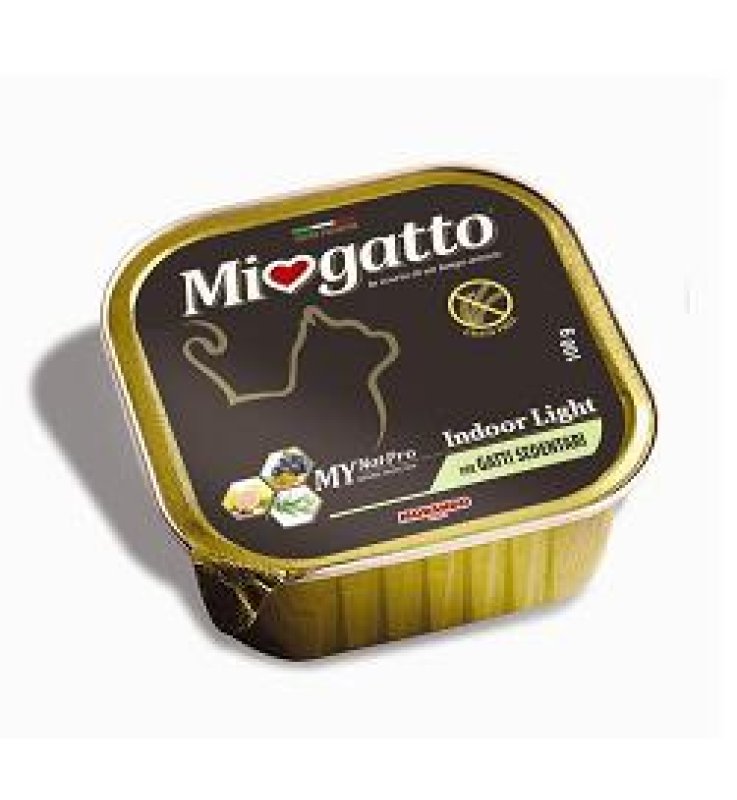 V MIOGATTO 8637 AD VASC.INDOORLI