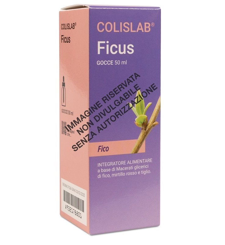 FICUS-COMP GOCCE 50 ML