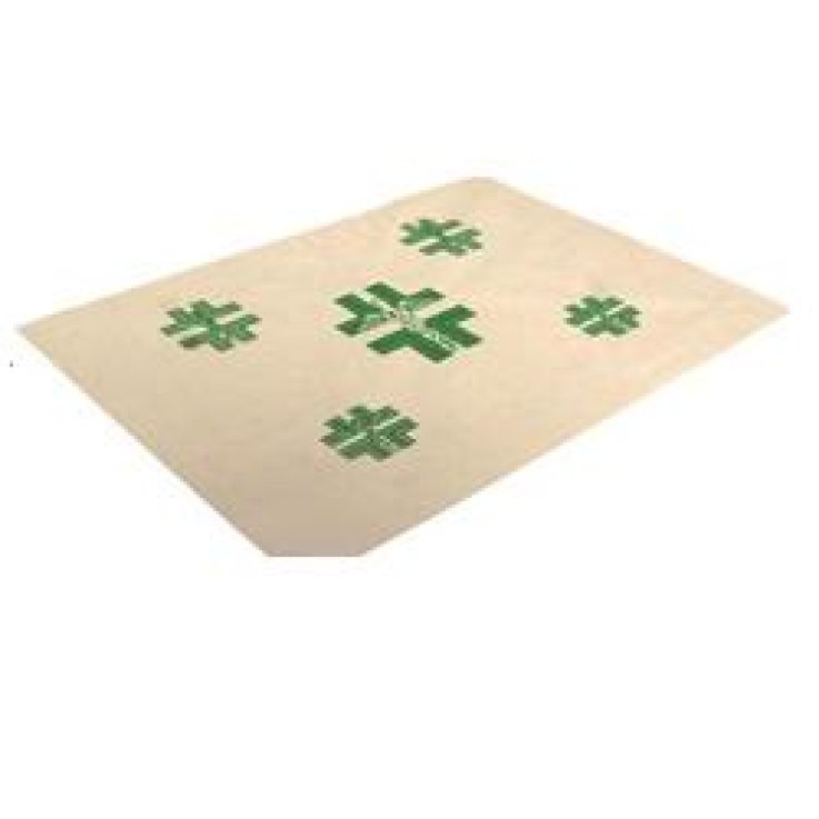 CARTA FARM. FGL BI 18X25CM 10KG CARTA FARM. FGL BI 18X25CM 10KG