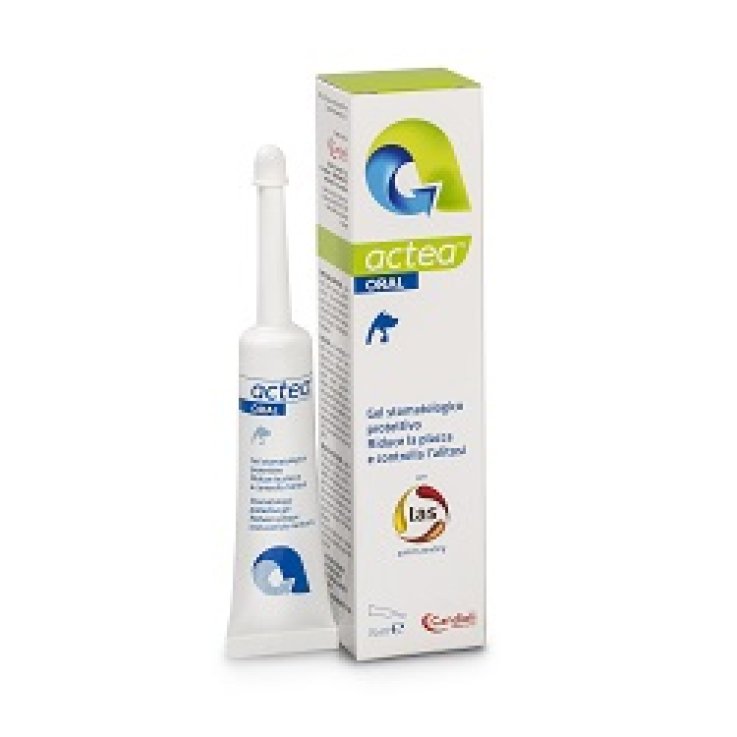 ACTEA Oral Gel Stomatologico ACTEA Oral Gel Stomatologico