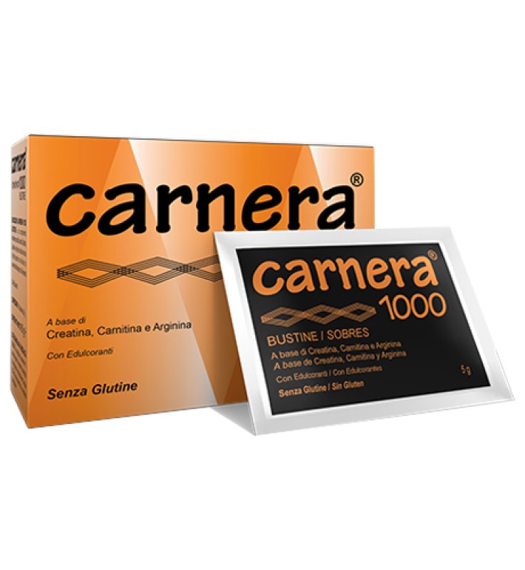 CARNERA 1000 18 BUSTINE CARNERA 1000 18 BUSTINE