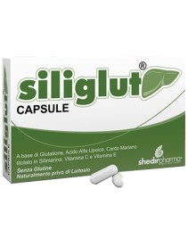 SILIGLUT 20 CAPSULE