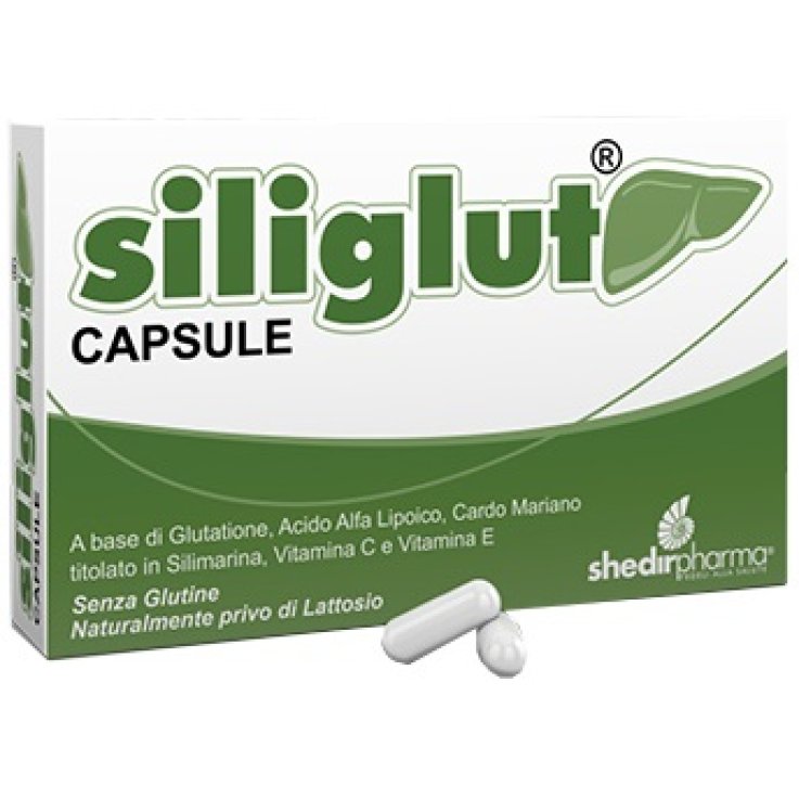 SILIGLUT 20 CAPSULE SILIGLUT 20 CAPSULE