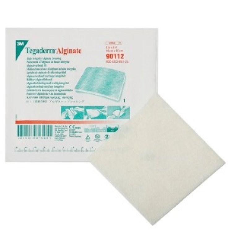 TEGADERM Alg.10x10 10pz