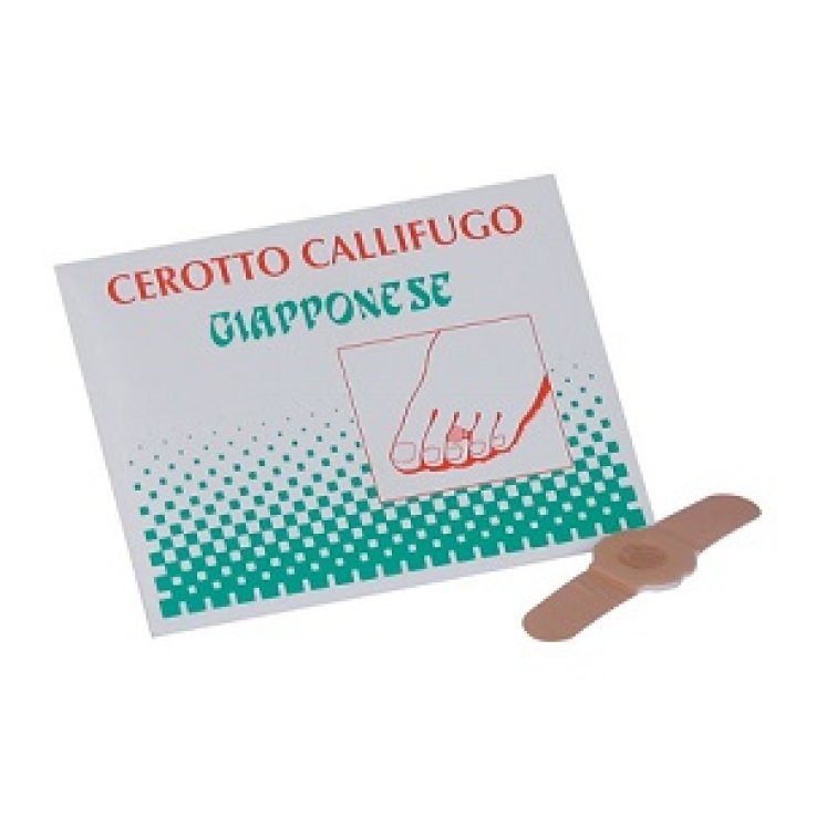 CALLIFUGO GIAPPONESE 4CEROT.C/PA CALLIFUGO GIAPPONESE 4CEROT.C/PA