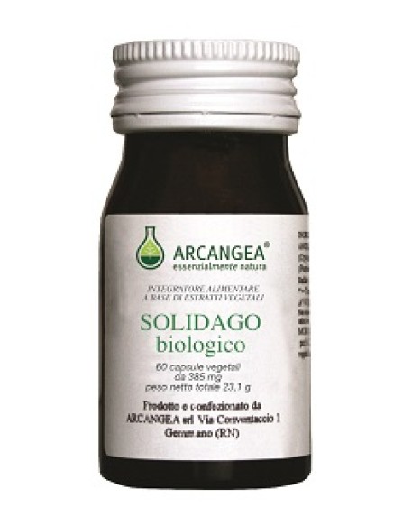 SOLIDAGO BIO 60 CAPSULE