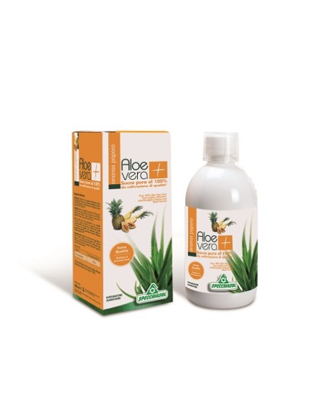 SUCCO ALOEVERA+ ANANAS/PAPAIA 1000 ML