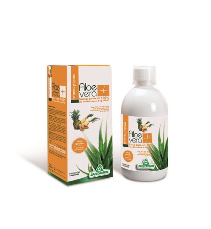 SUCCO ALOEVERA+ ANANAS/PAPAIA 1000 ML