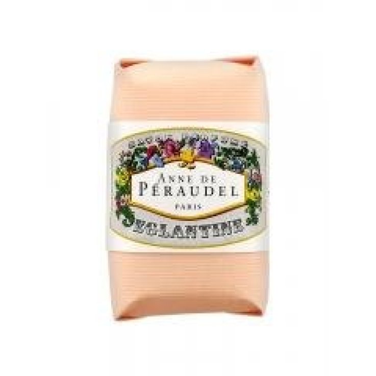 ANNE DE PERAUDEL SAPONE ALLA ROSA CANINA 100 G ANNE DE PERAUDEL SAPONE ALLA ROSA CANINA 100 G