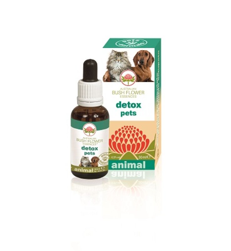 V BUSH PET DETOX 30ML GTT