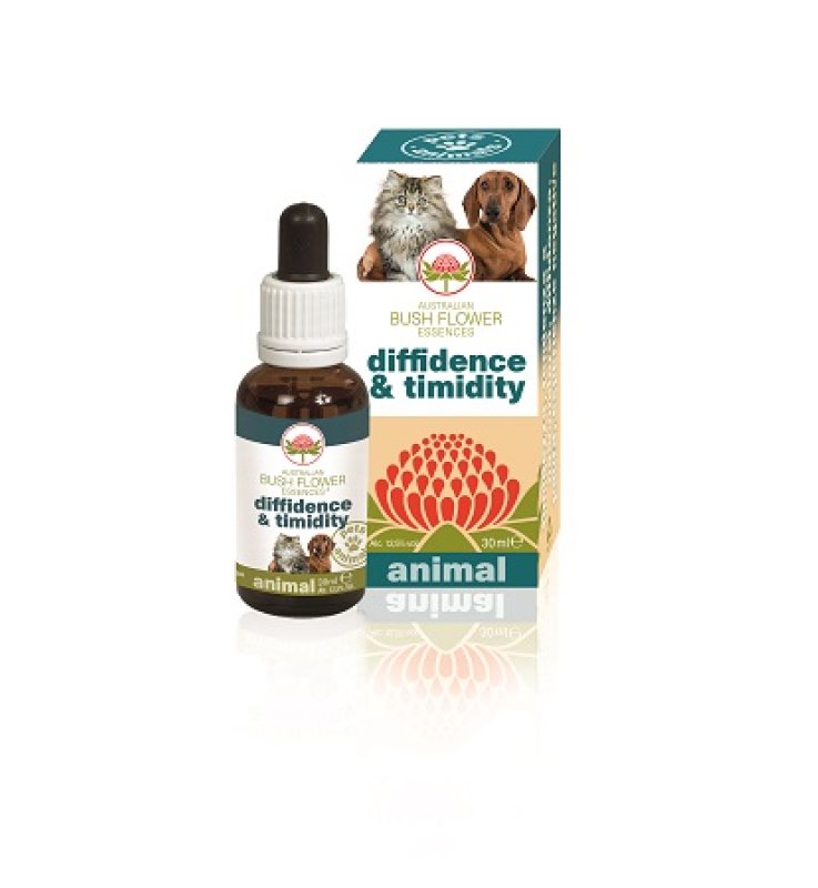 V BUSH PET DIFFIDENCE & TIMIDITY
