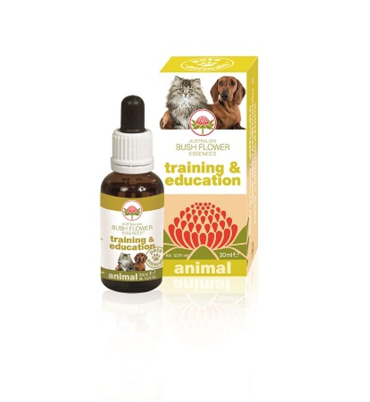 V BUSH PET TRAINING & EDUCATION