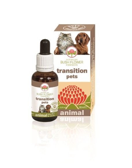 V BUSH PET TRANSITION 30ML GT