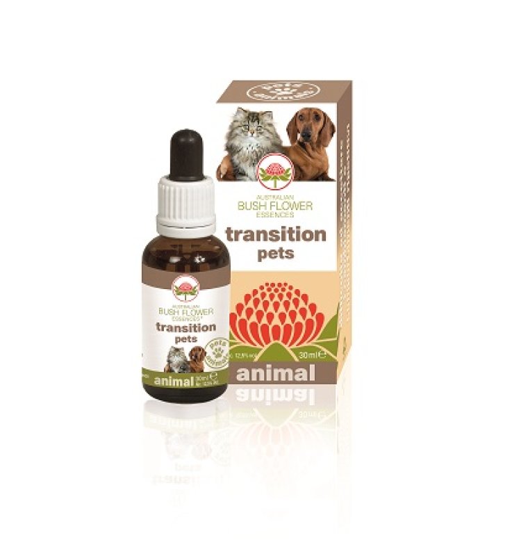 V BUSH PET TRANSITION 30ML GT