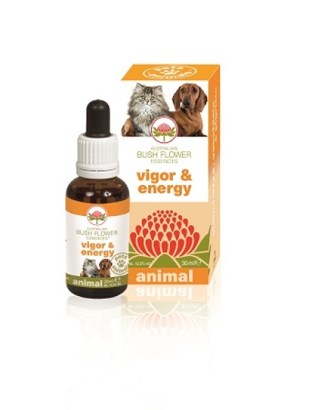 V BUSH PET VIGOR & ENERGY 30ML G