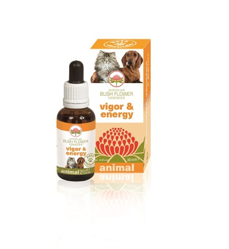 V BUSH PET VIGOR & ENERGY 30ML G