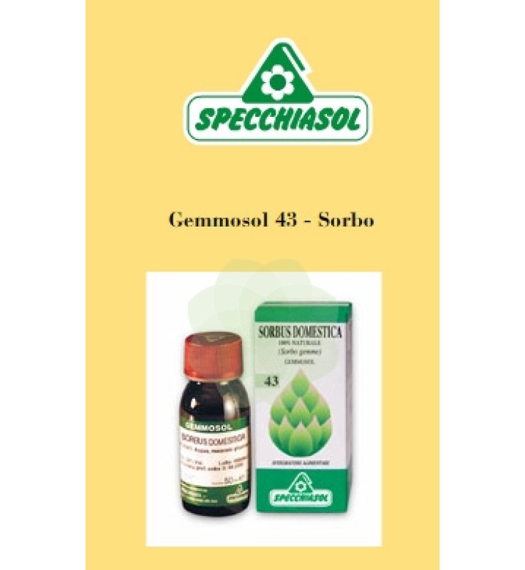SP.SORBUS DOMES.1DH Gemme 50ml