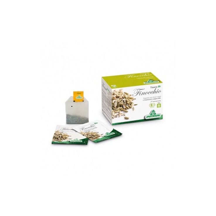 INFUSO FINOCCHIO 20BUST SPECCH INFUSO FINOCCHIO 20BUST SPECCH