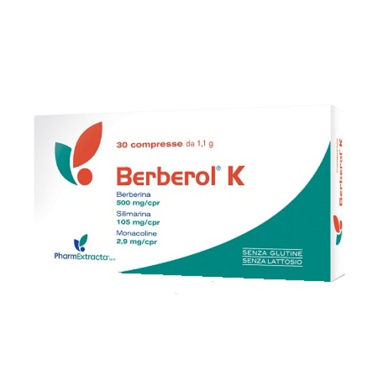 BERBEROL K 30 COMPRESSE BERBEROL K 30 COMPRESSE
