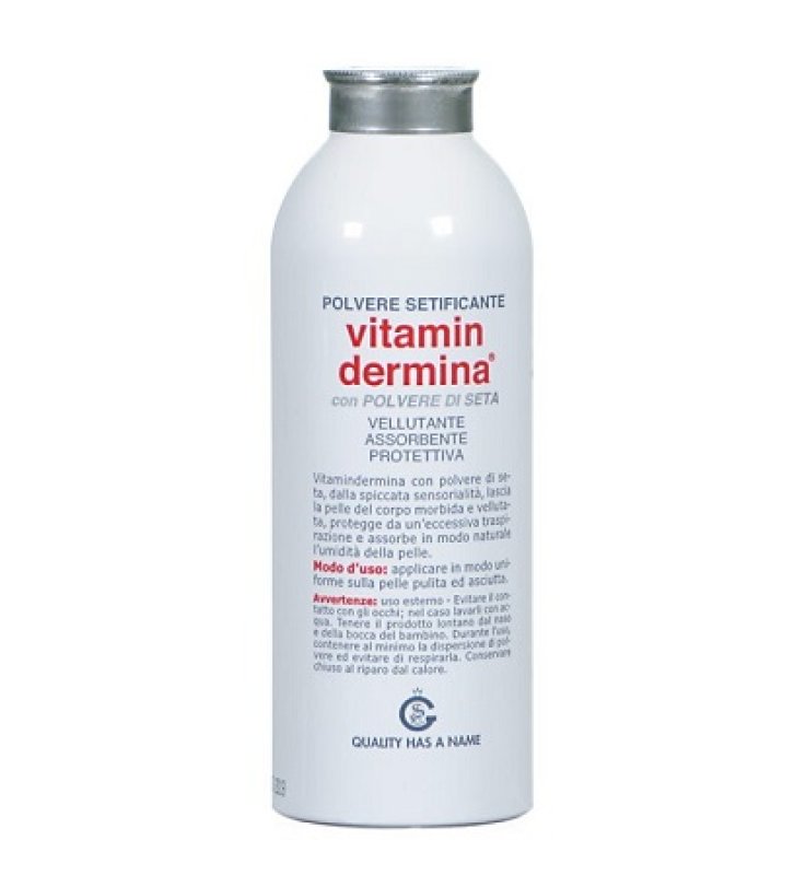 VITAMINDERMINA-POLV SETA 100G