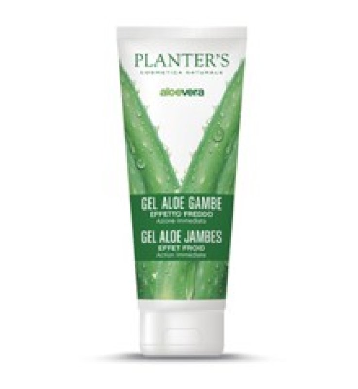 PLANTERS GEL FREDDO GAMBE ALOE 1