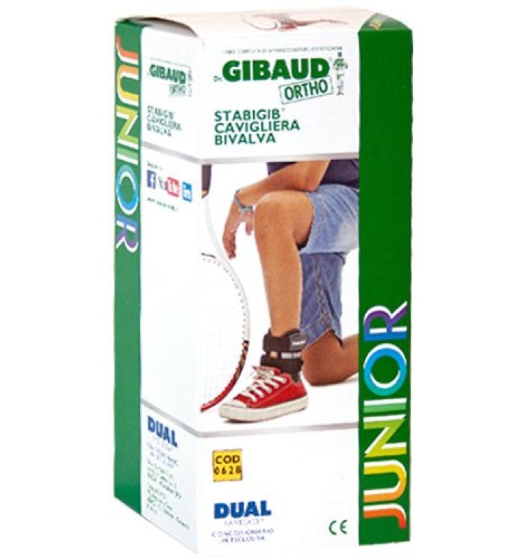 GIBAUD-ORT.J Cav.Stabigib Biv.