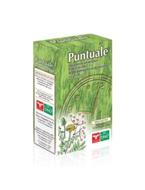 PUNTUALE 60 COMPRESSE