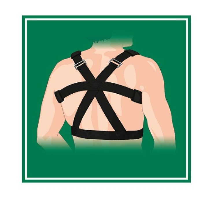 SOSTEGNO DORSO GIBAUD ORTHO 03 SOSTEGNO DORSO GIBAUD ORTHO 03