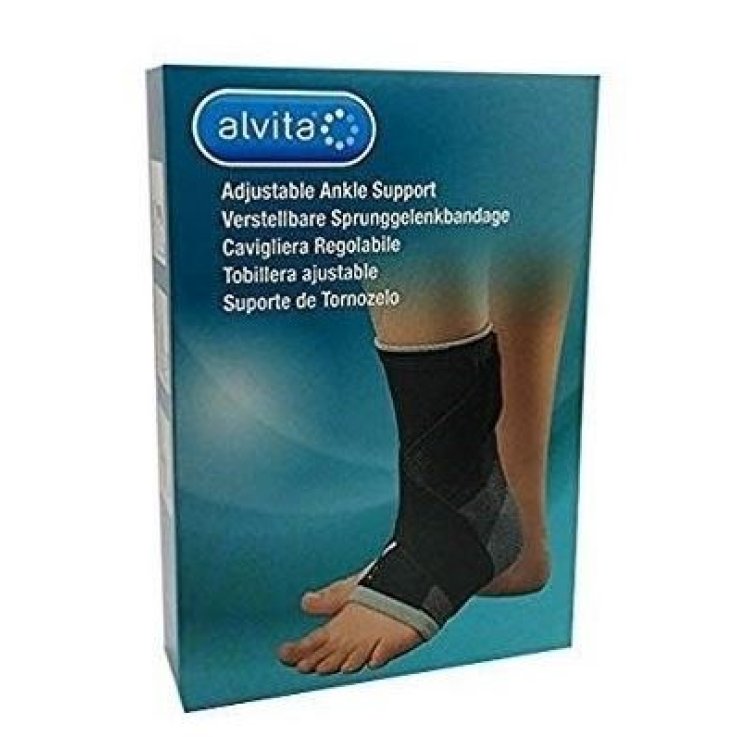 ALVITA CAVIGLIERA 2 ALVITA CAVIGLIERA 2