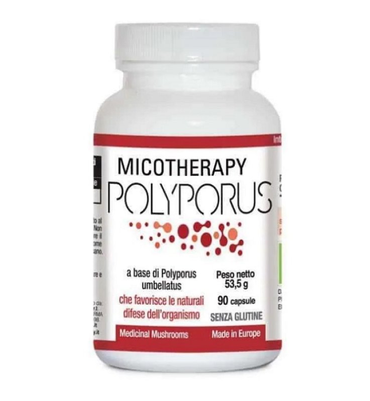 MICOTHERAPY Polyporus 90CpsAVD