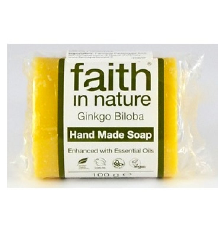 FN SOAP GINKGO BILOBA 100 G