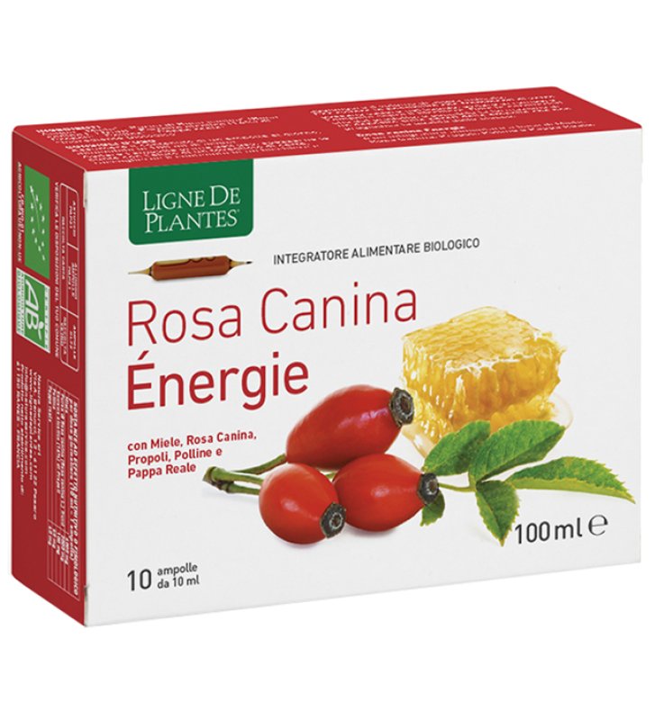 ROSA CANINA ENERGIE BIO 10AB
