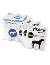 V ZYLKENE EQUINI 1000MG 20BUST