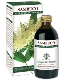 SAMBUCO FIORI ESTRATTO INTEGRALE 200 ML