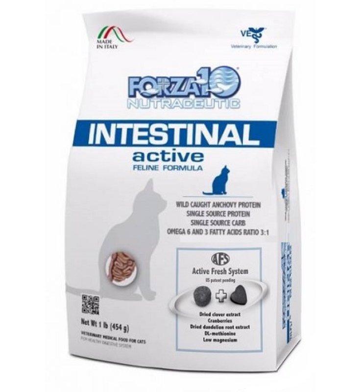 V F10 INTEST ACTIVE GATTO 454GR