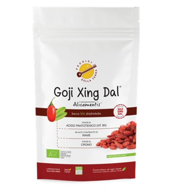 GOJI XING DAL ALICAMENTIS BIO 190 G LYCIUM BARBARUM PRODIGIDELLA TERRA