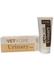 V URINARY VETCARE PASTA 80G