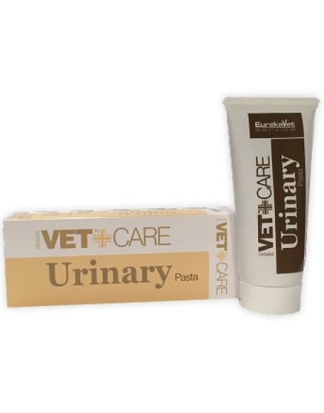 V URINARY VETCARE PASTA 80G