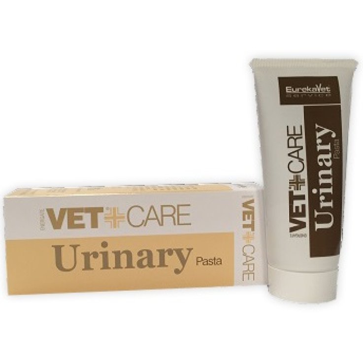 V URINARY VETCARE PASTA 80G V URINARY VETCARE PASTA 80G
